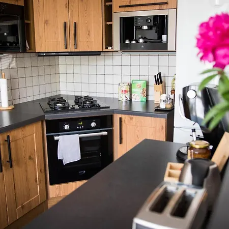 Apartment Poruba Street View Ostrava