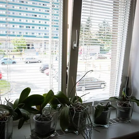 Apartment Poruba Street View *