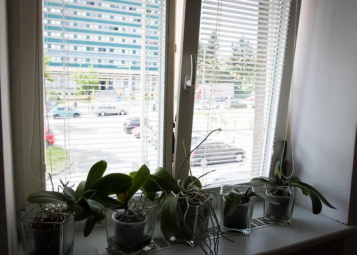 Apartman Poruba Street View *